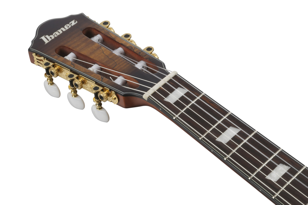 Ibanez FRH20SMN-TCL